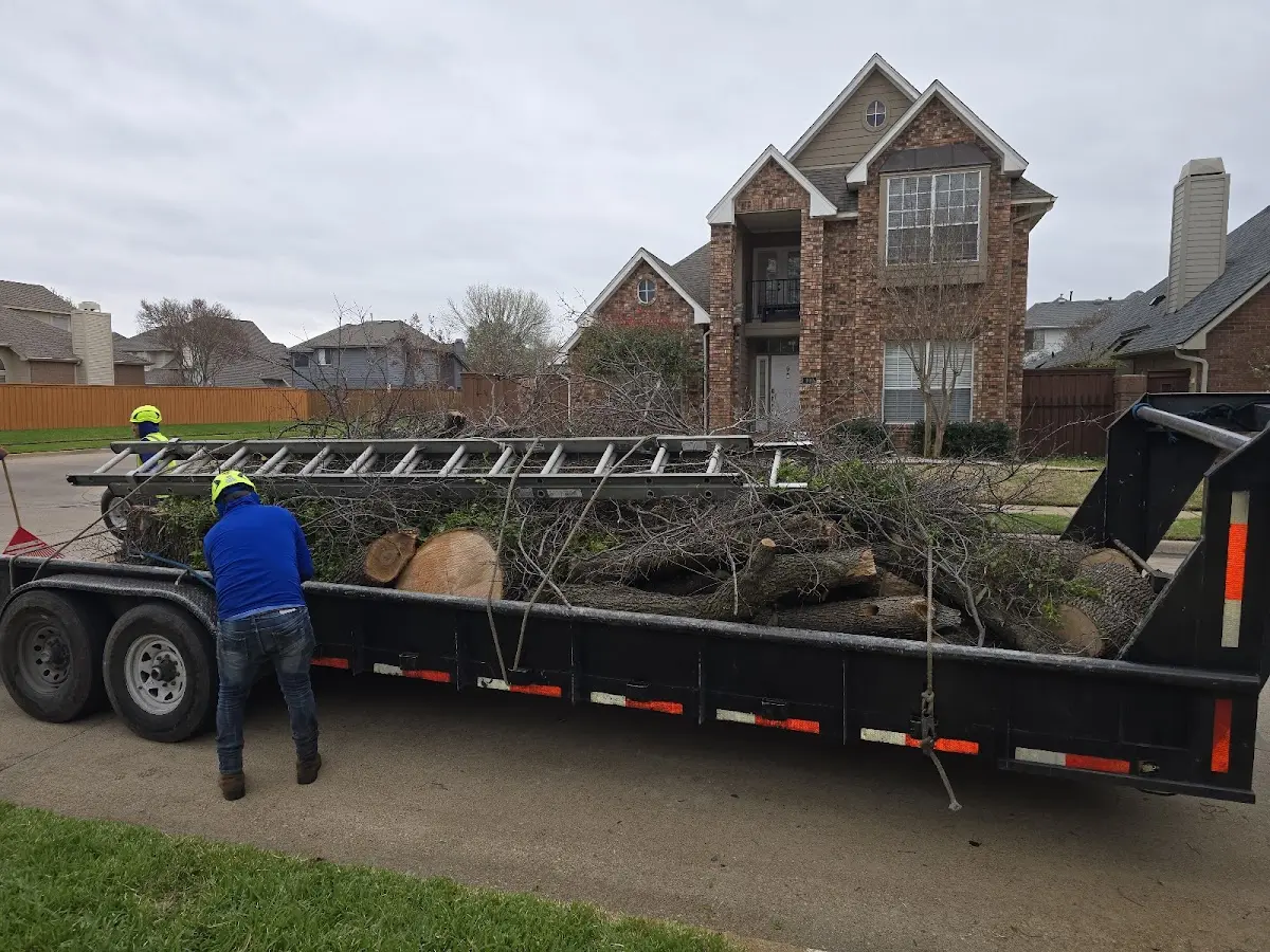 Expert Lot Clearing with proper safety equipment in Lattimore